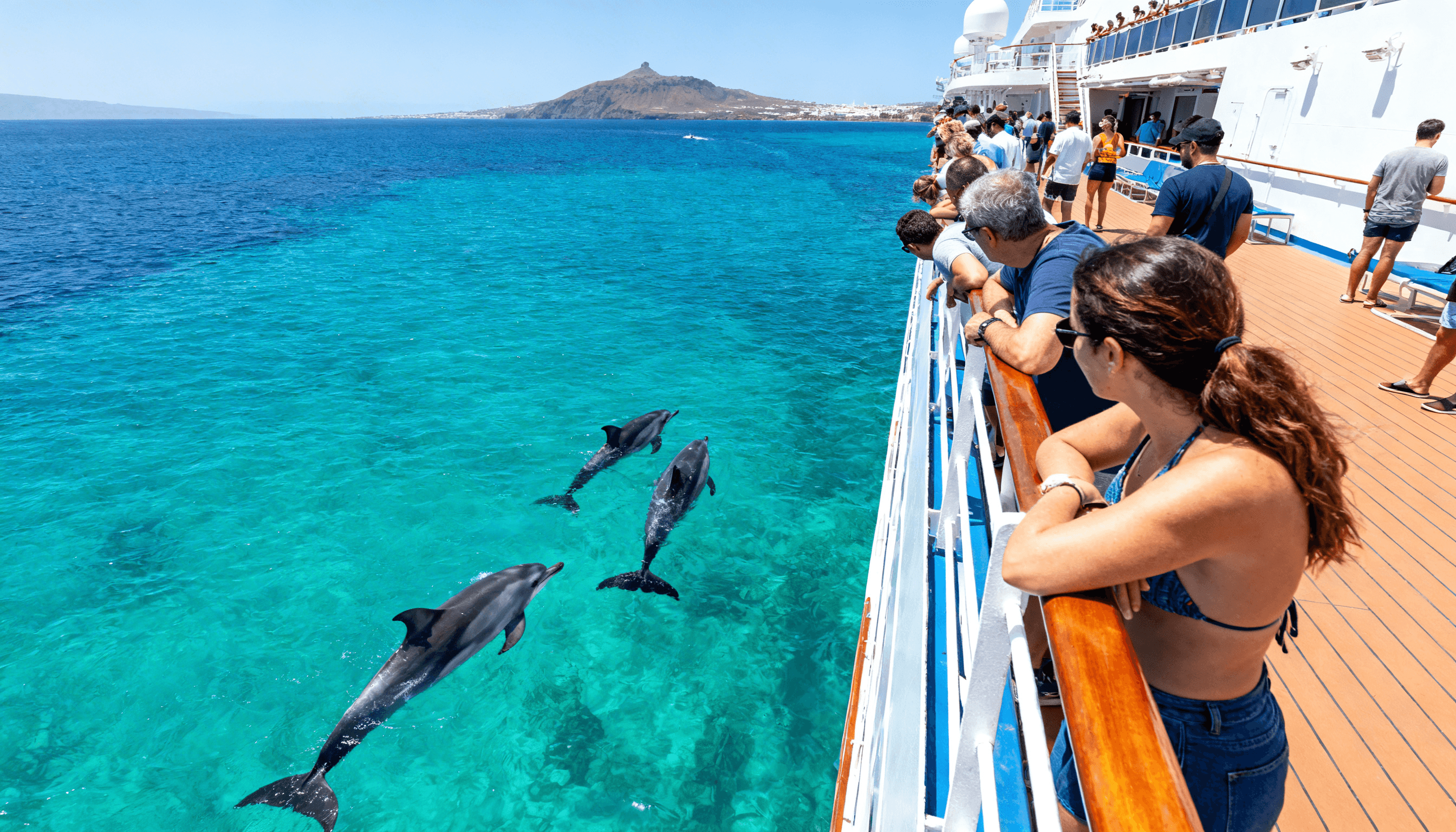 Tenerife Ocean Experience: Eco Dolphin & Whale Watching Cruise