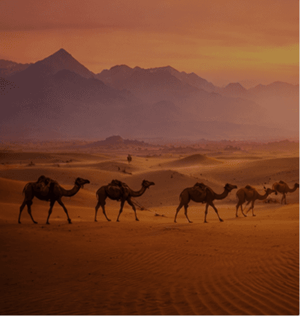 Morocco Desert & Atlas Mountains Journey