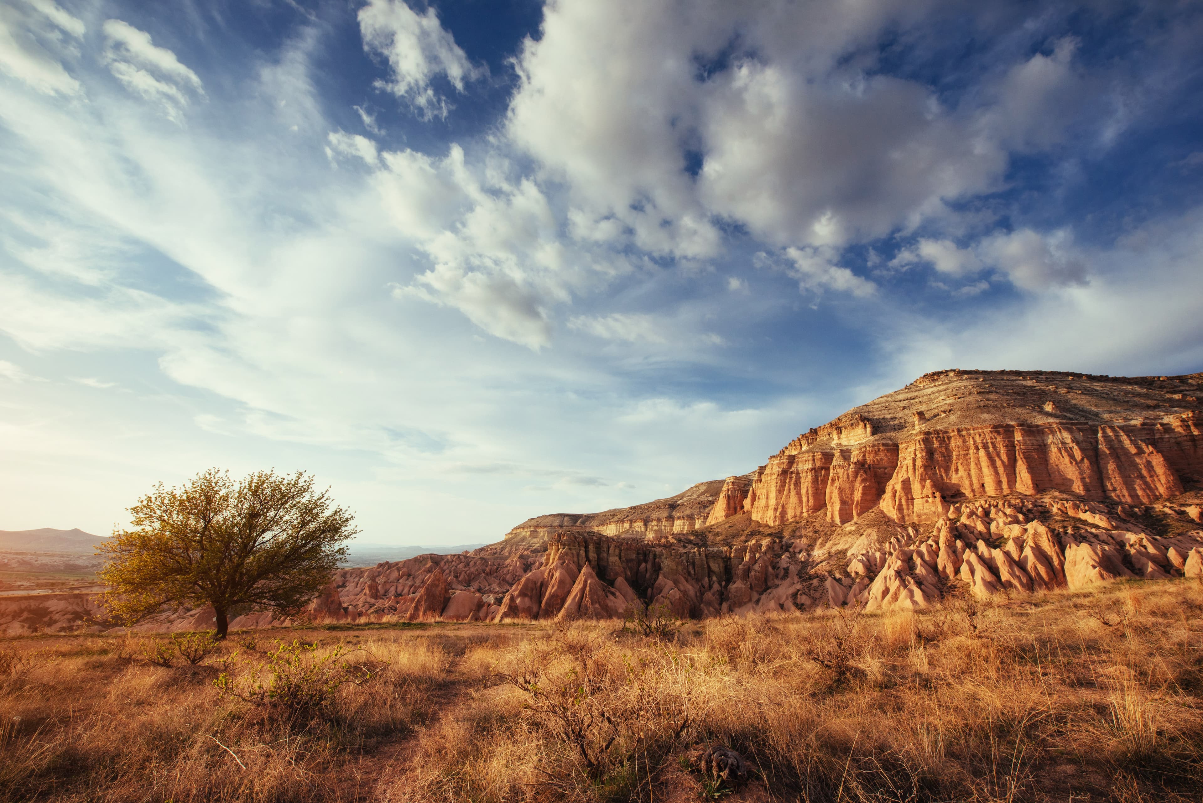 9 Days Safari to Amboseli, Lake Manyara, Ngorongoro, Serengeti and Maasai Mara